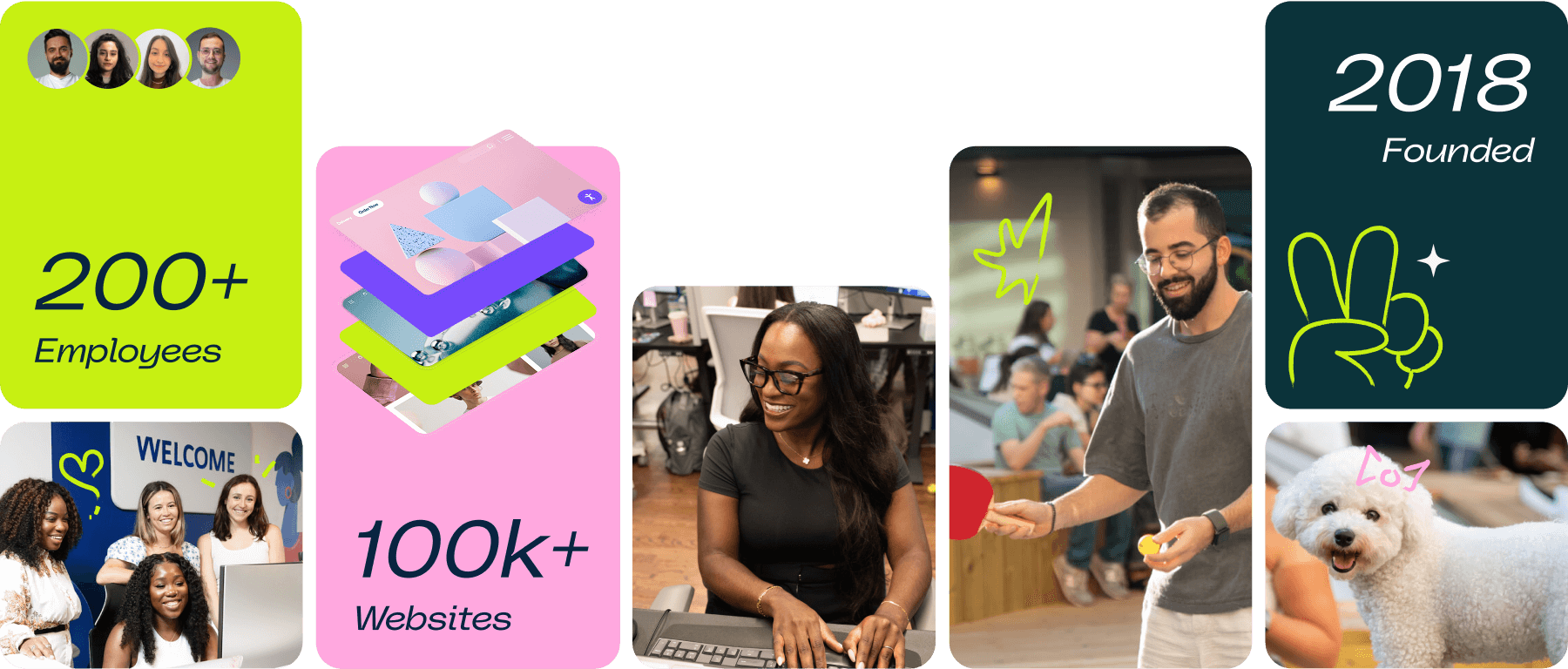 More than 200 employees, more than 100,000 Websites, founded in 2018